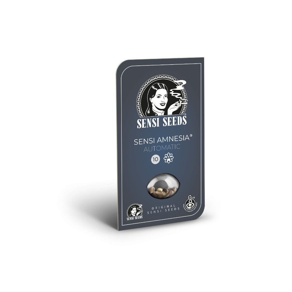 Sensi Amnesia • Autoflower