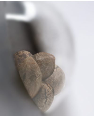 Banana Kush Cake • Gefeminiseerd