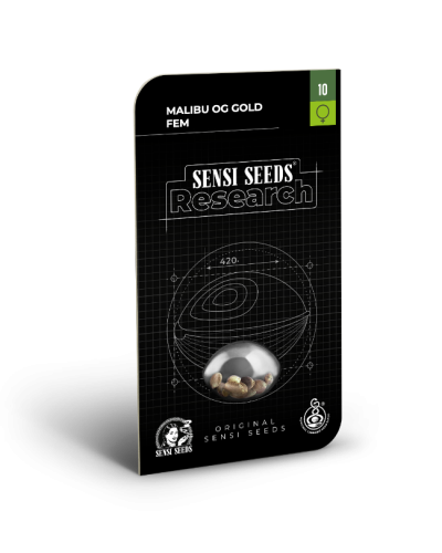 Malibu OG Gold • Gefeminiseerd