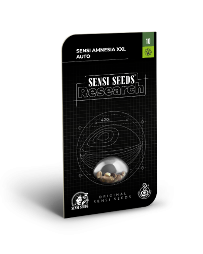Sensi Amnesia XXL • Autoflower