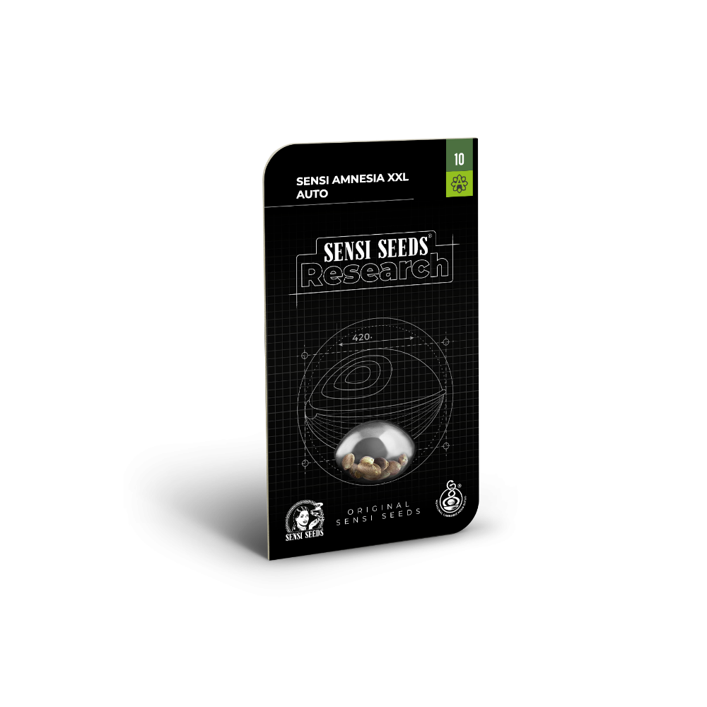 Sensi Amnesia XXL • Autoflower