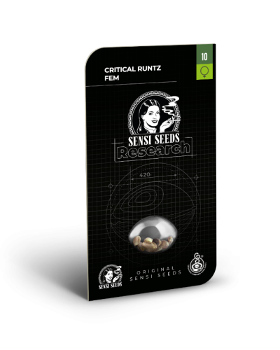 Critical Runtz • Gefeminiseerd