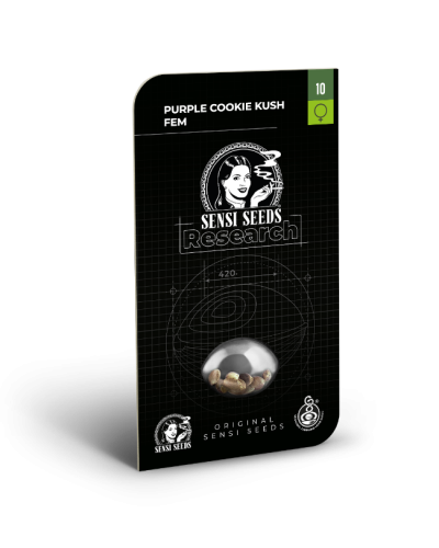 Purple Cookie Kush • Gefeminiseerd