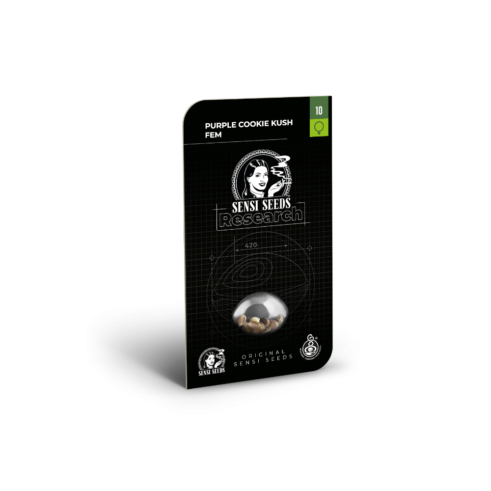 Purple Cookie Kush • Gefeminiseerd