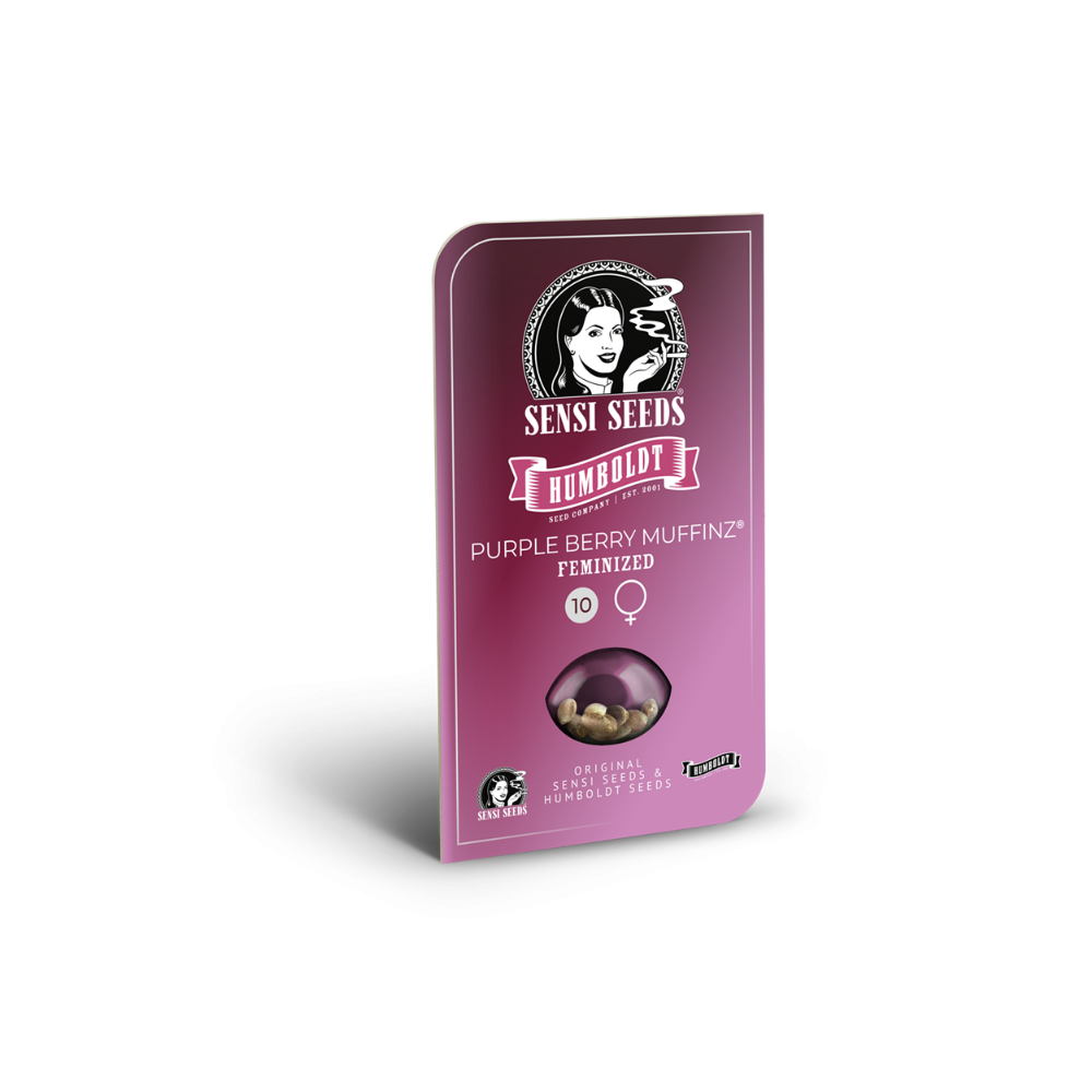 Purple Berry Muffinz • Gefeminiseerd