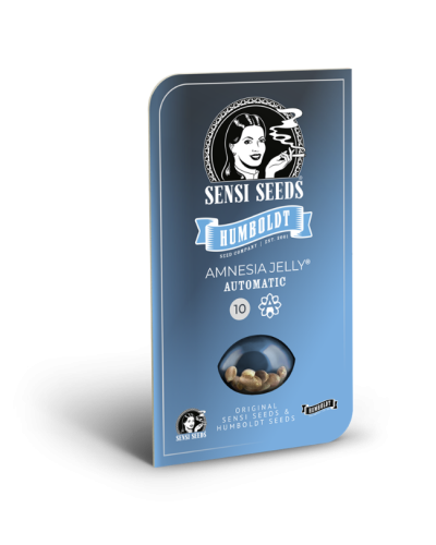 Amnesia Jelly • Autoflower