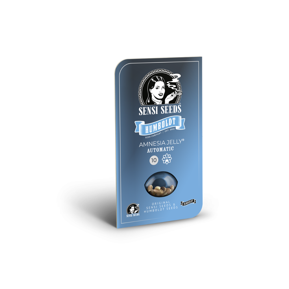 Amnesia Jelly • Autoflower