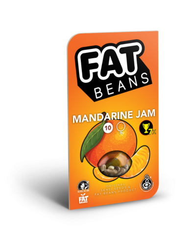 Mandarine Jam • Gefeminiseerd