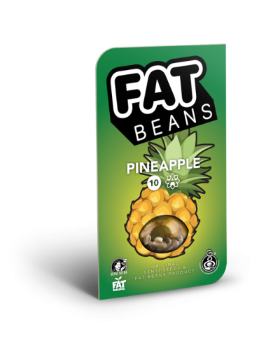 Pineapple • Autoflower