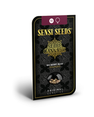 Big Berry Bliss • Standaard