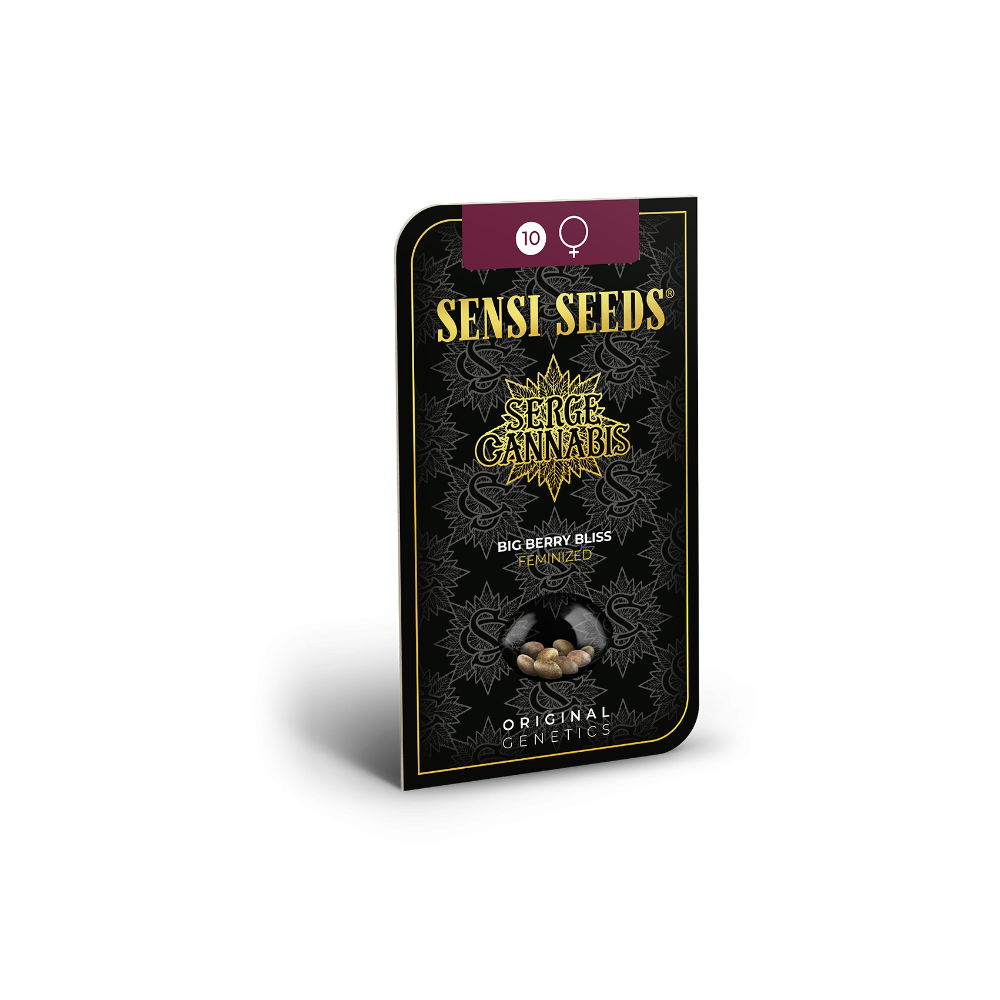 Big Berry Bliss • Standaard