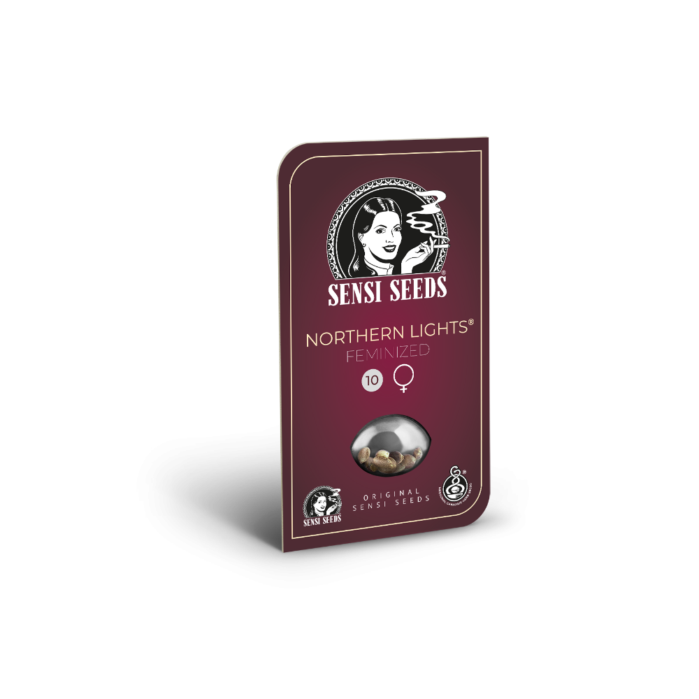 Northern Lights • Gefeminiseerd