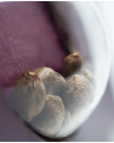 Hindu Kush • Gefeminiseerd