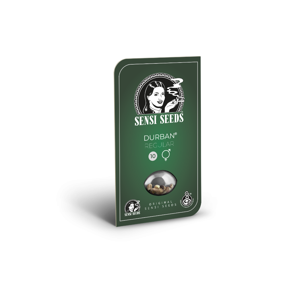 Durban • Gefeminiseerd