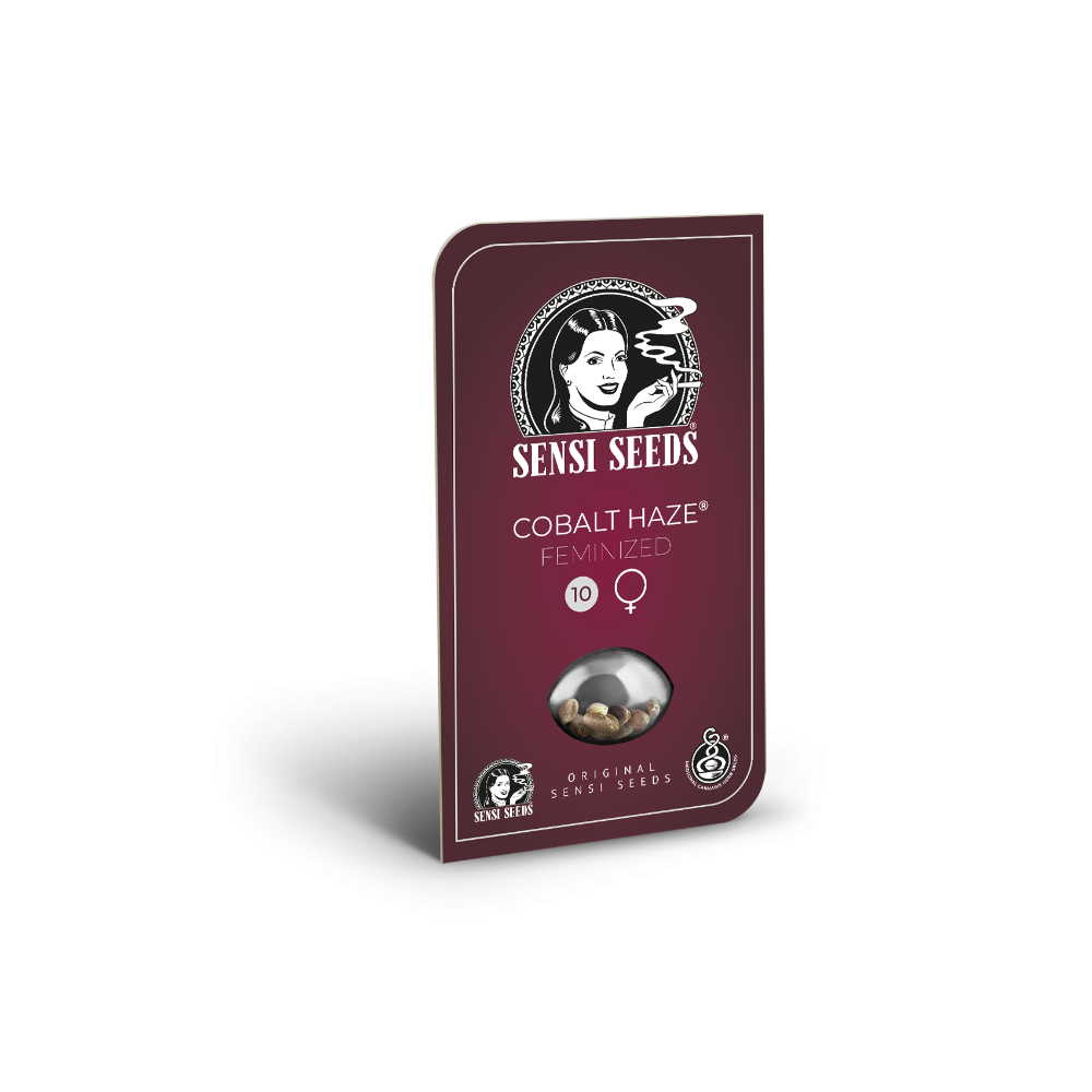 Cobalt Haze • Gefeminiseerd