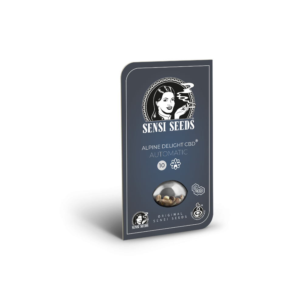 Alpine Delight CBD • Autoflower