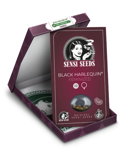 Black Harlequin • Gefeminiseerd