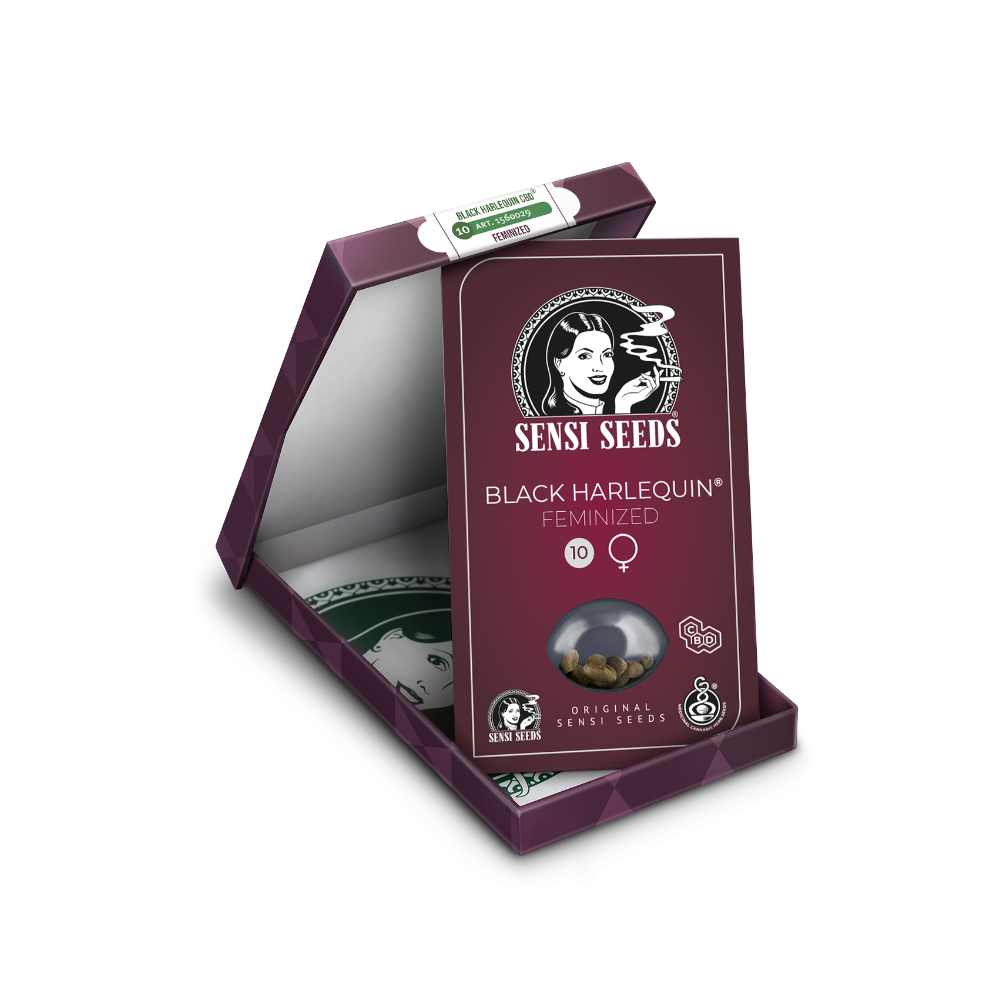 Black Harlequin • Gefeminiseerd