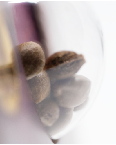 Satin Black Domina CBD • Gefeminiseerd