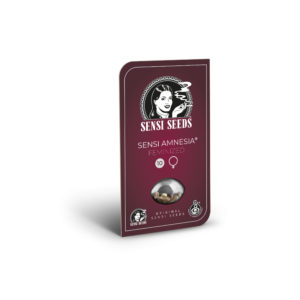 Sensi Amnesia • Gefeminiseerd