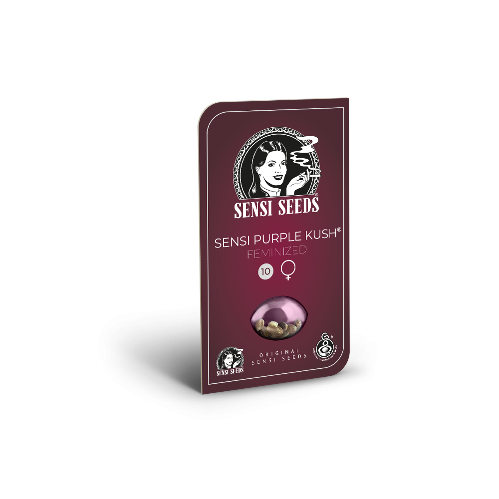Sensi Purple Kush • Gefeminiseerd