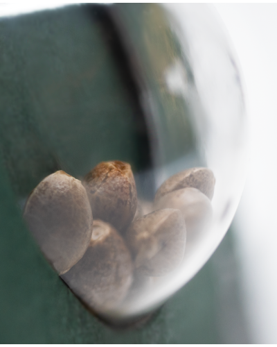 Michka Ltd© • Standaard