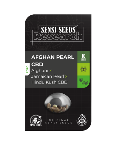 Afghan Pearl CBD • Autoflower
