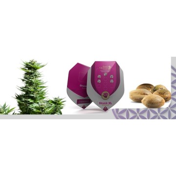 Productos de Cannabis