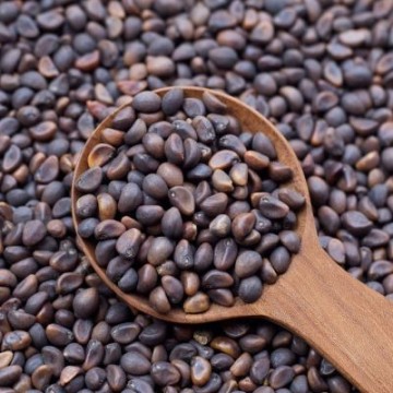 Flying Dutchmen – Semillas LSA exclusivas de Ámsterdam