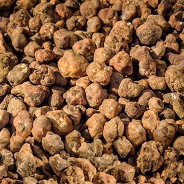 Flying Dutchmen: Trufas Mágicas McSmart Premium para Psiconautas