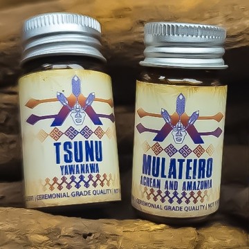 Next Level Exclusive